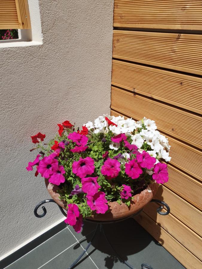 Harmony Residence Kávos Dış mekan fotoğraf