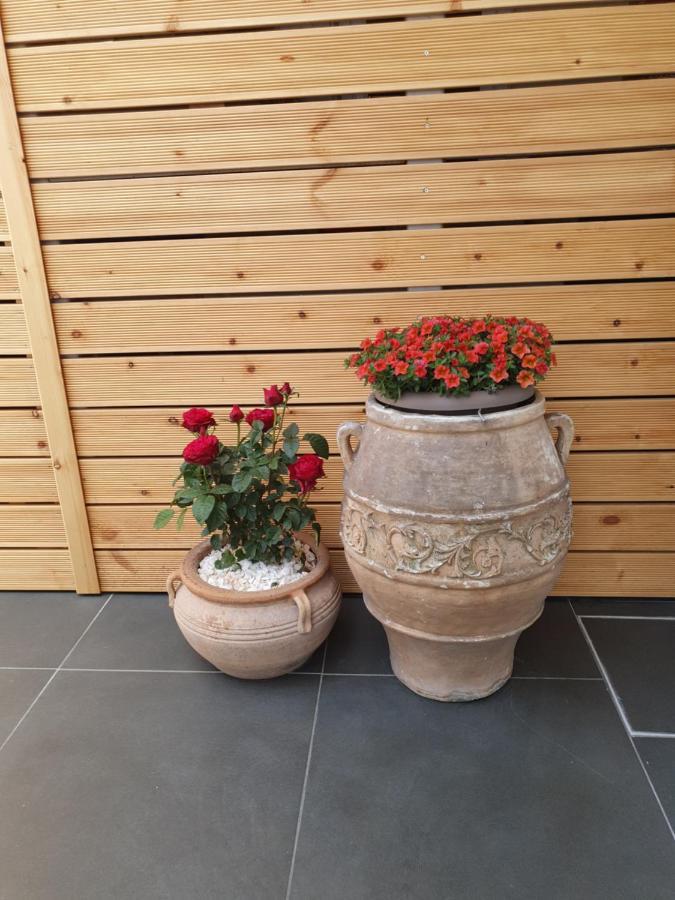 Harmony Residence Kávos Dış mekan fotoğraf