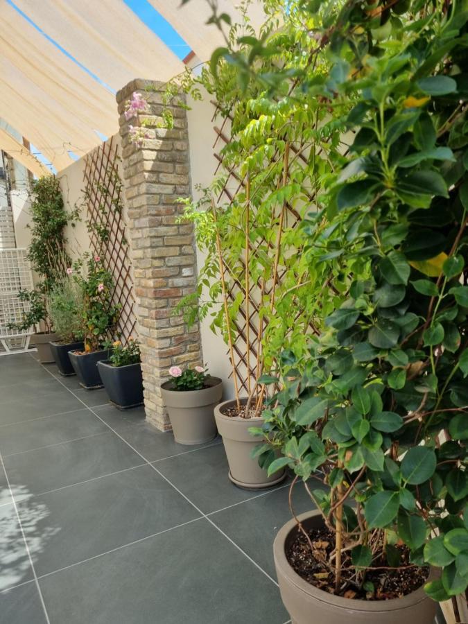 Harmony Residence Kávos Dış mekan fotoğraf